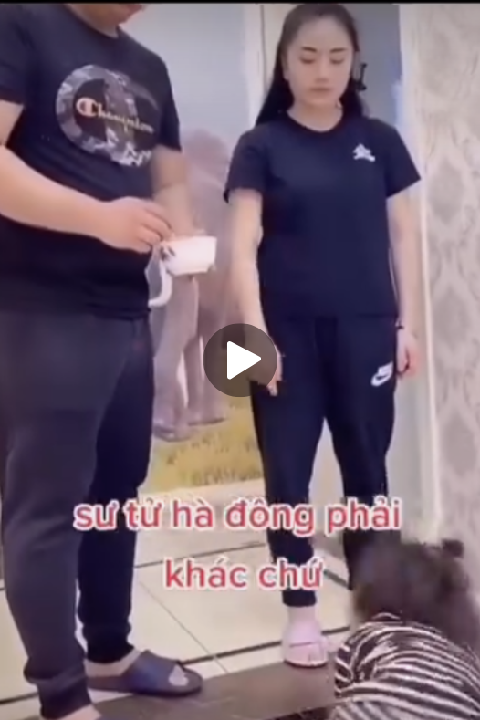 PHA QUAY XE KHÔNG ĐỠ ĐƯỢC CỦA ẺM KHI MẸ XUẤT HIỆN