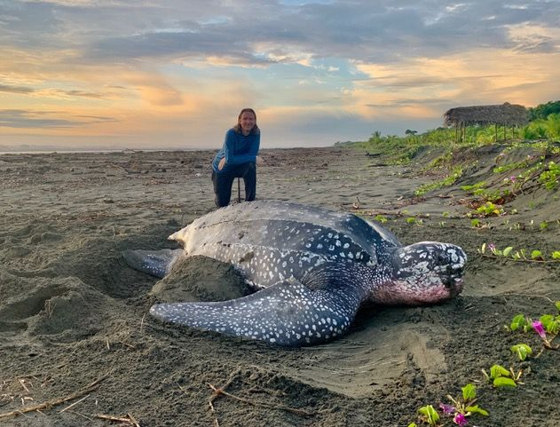 The Last Push: A Leatherback’s Fight for Life..g