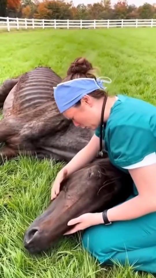 The Moment Atlas Collapsed Into the Arms That Saved Him