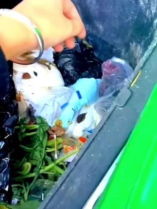 Left to Die in a Trash Can: Newborn Puppy’s Miraculous Rescue Touches Thousands