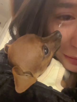 She Refused to Let Him Die Alone: A Young Girl’s Tearful Goodbye to a Sick Dog Touched Millions