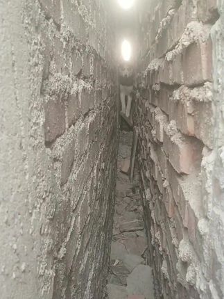 Husky Finally Rescued After Being Trapped Between Two Walls for an Extended Period