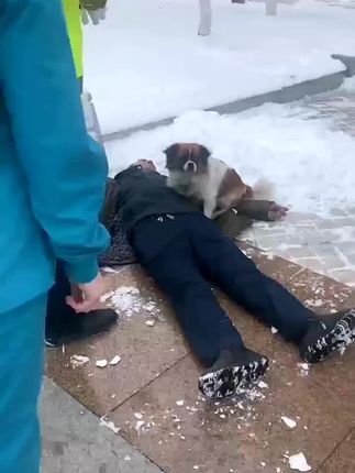 Loyal Small Mixed-Breed Dog Stays by Owner’s Side During Snowy Emergency, Touching Local Community